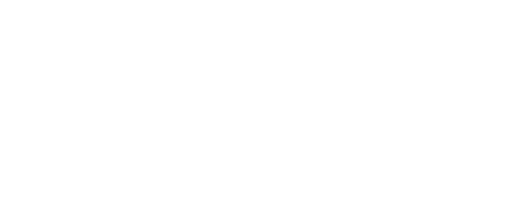 Fish Audio