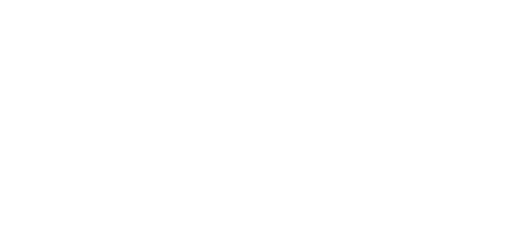 Sonix