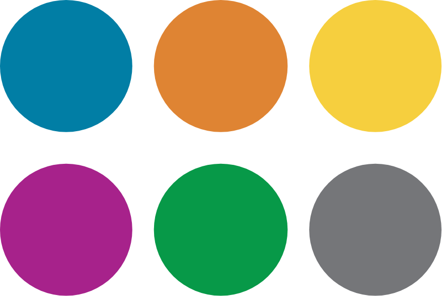 Atlanta Public Schools brand color palette