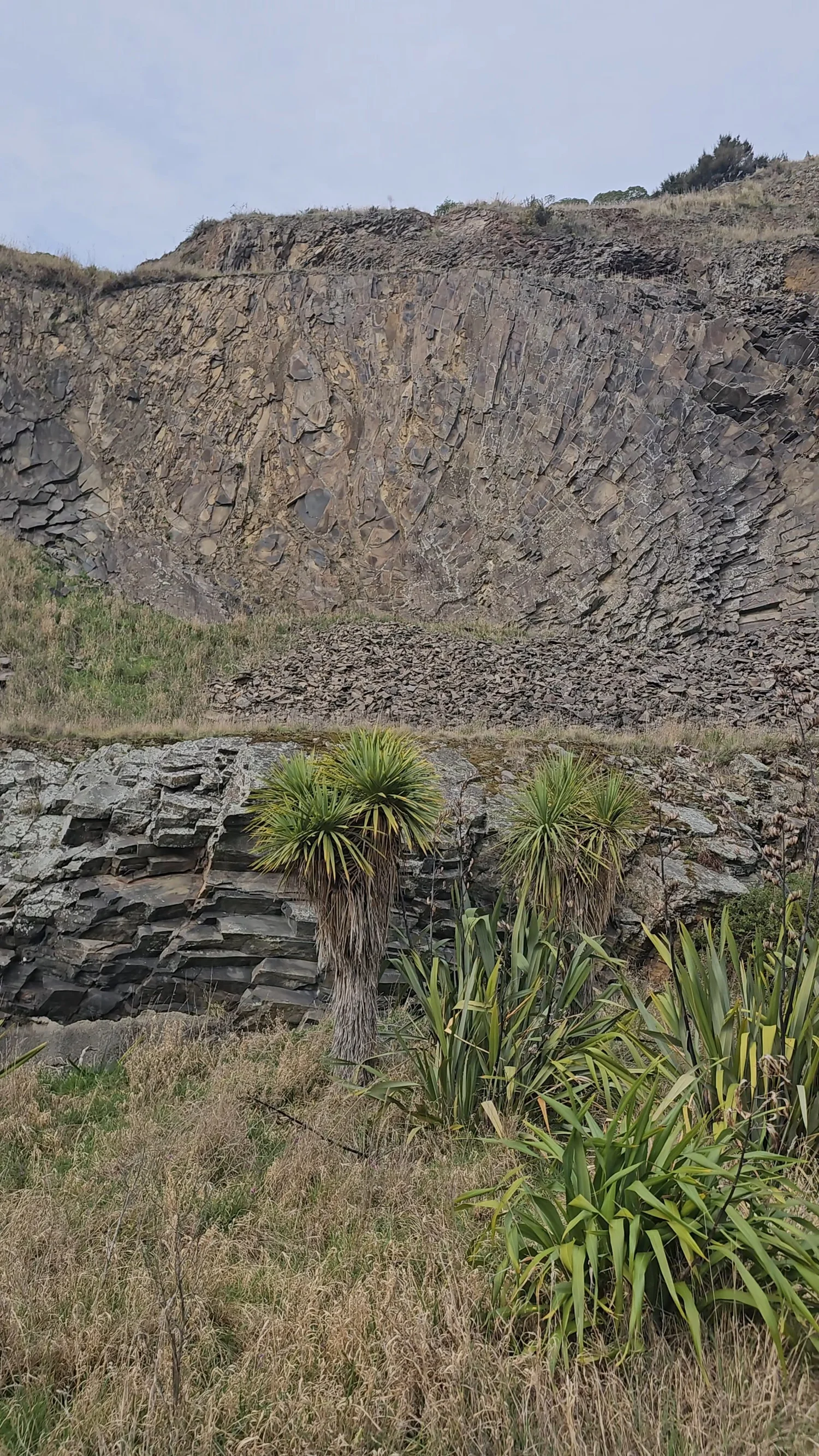 Historic stone and quarry remains at Halswell Quarry Park