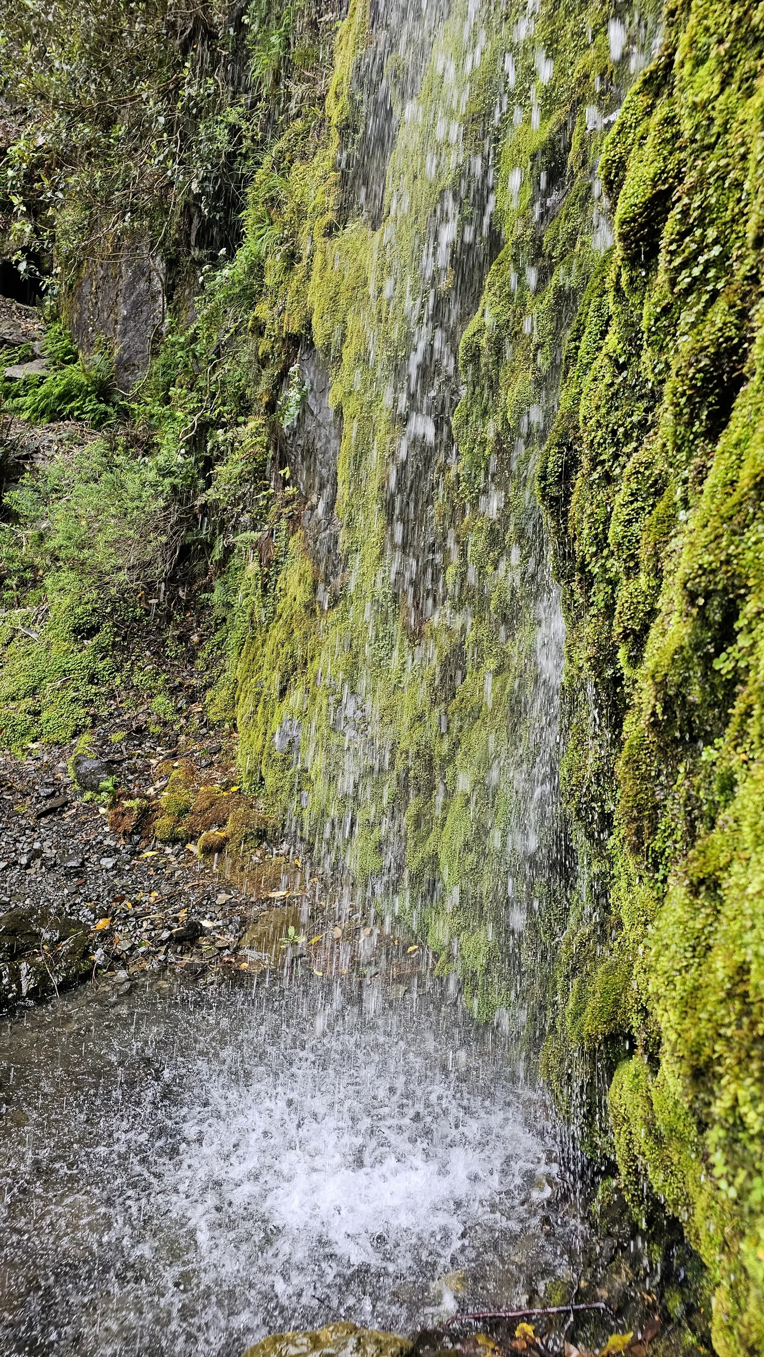 Close-up at the bottom of Dog Stream Falls