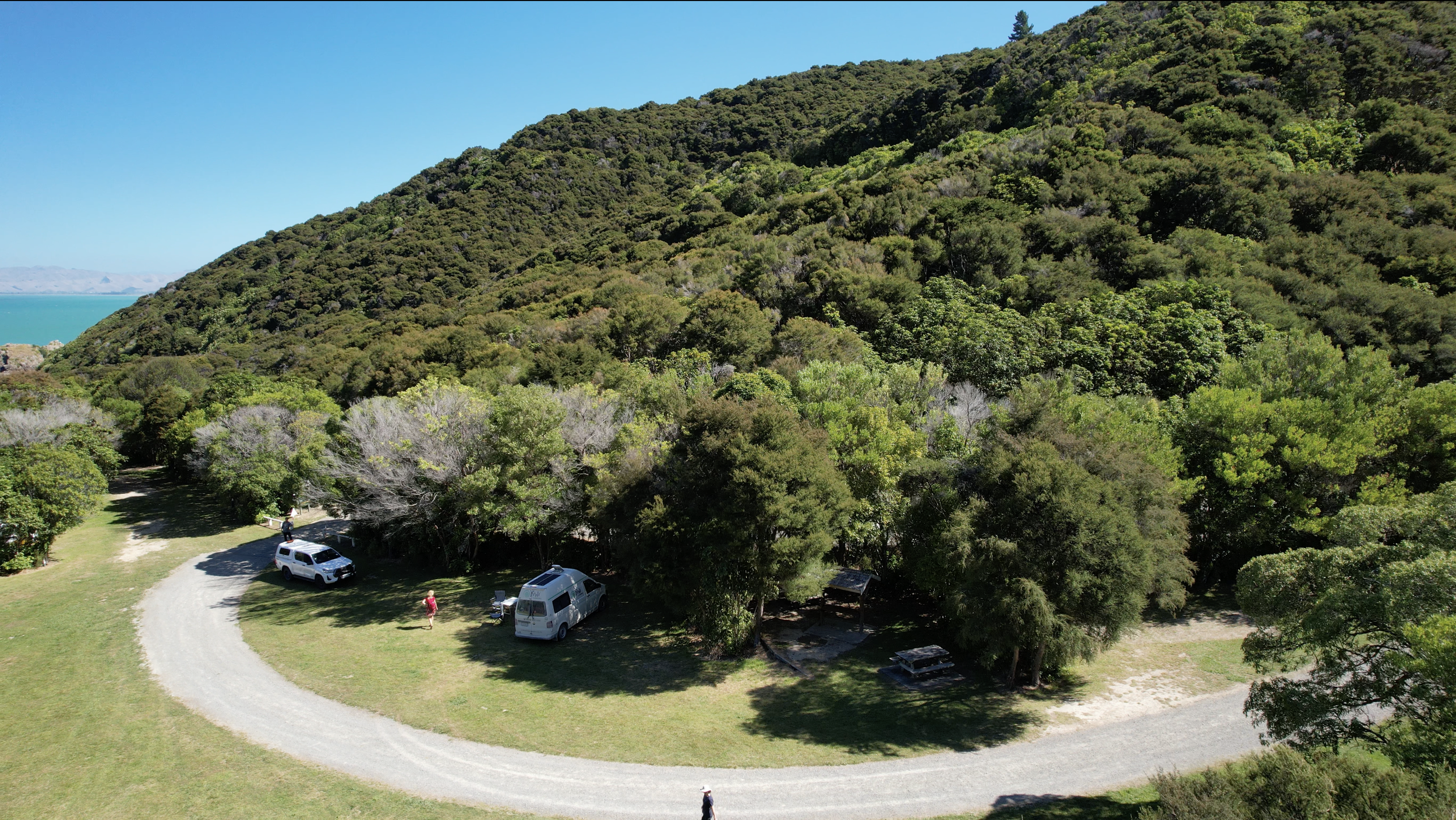 Whites Bay campsite beneath the trees
