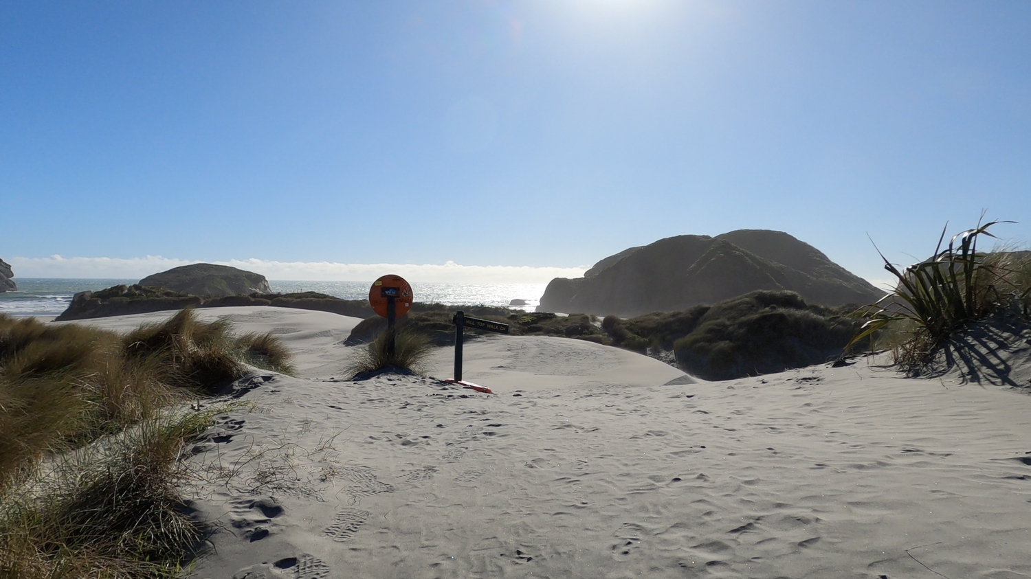 Sand dunes near the entrance to Wharariki Beach