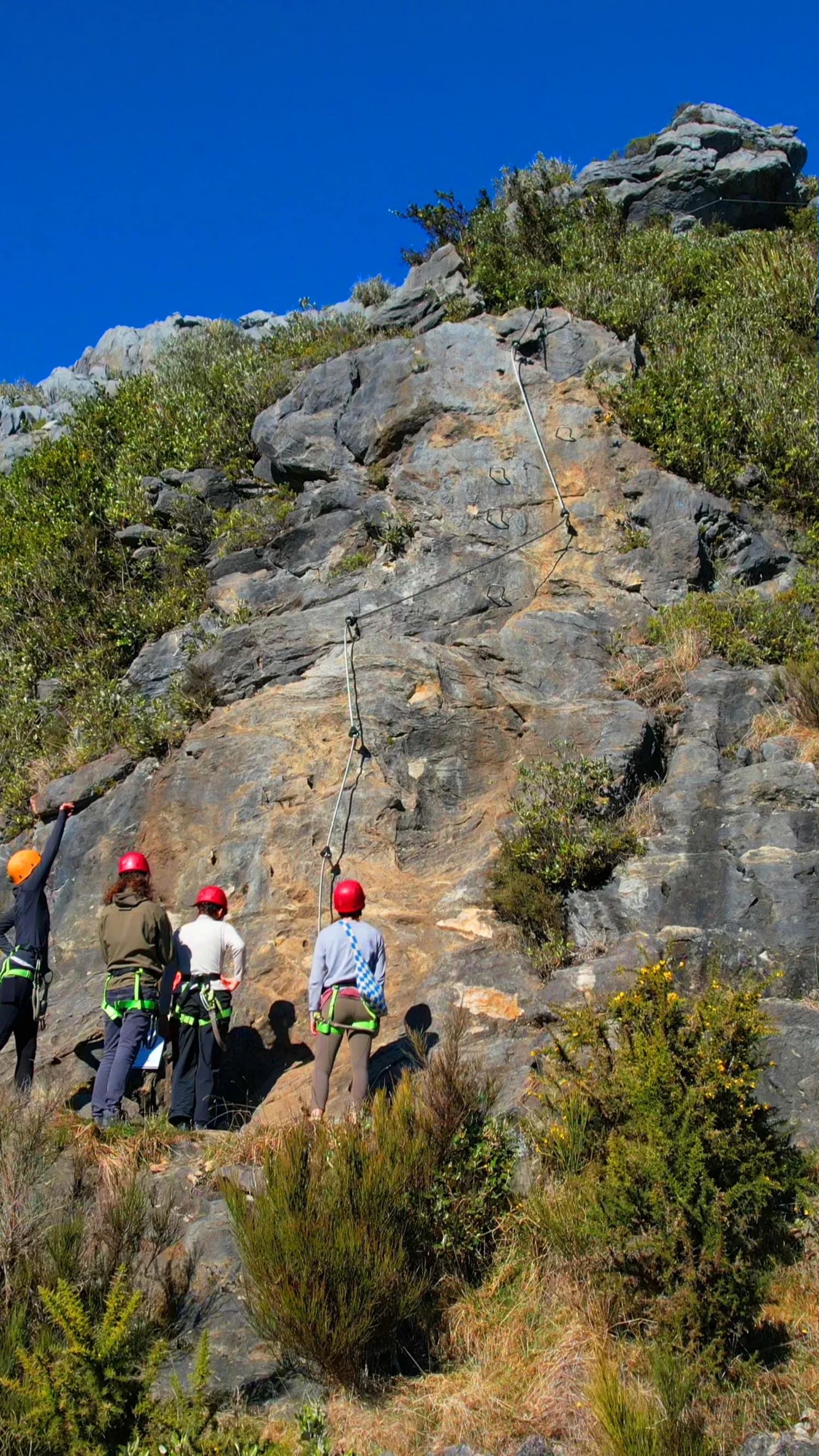Our family at the beginning of the Cliff Traverse on Tākaka Hill