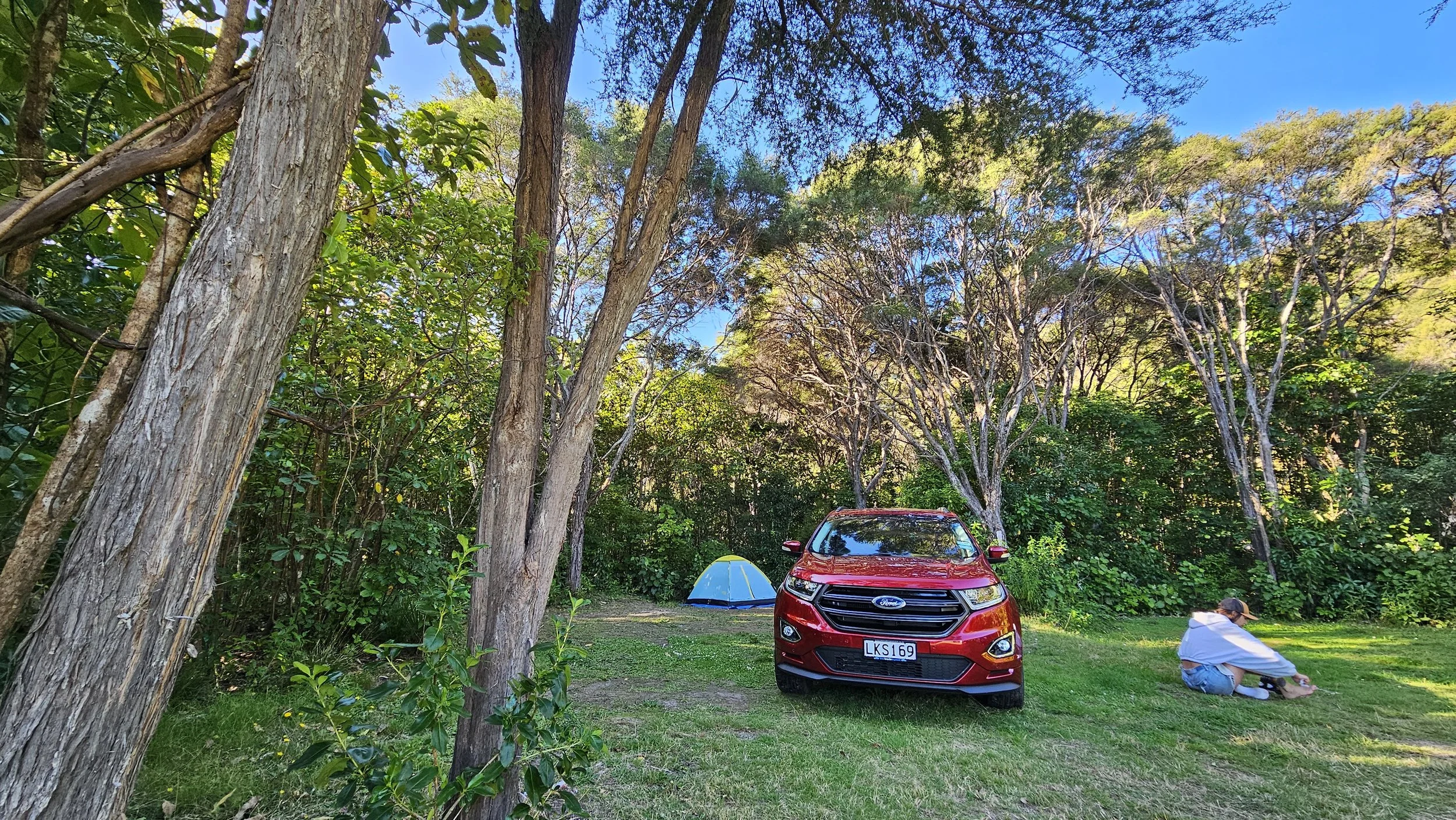 Our campsite among the trees at Whites Bay