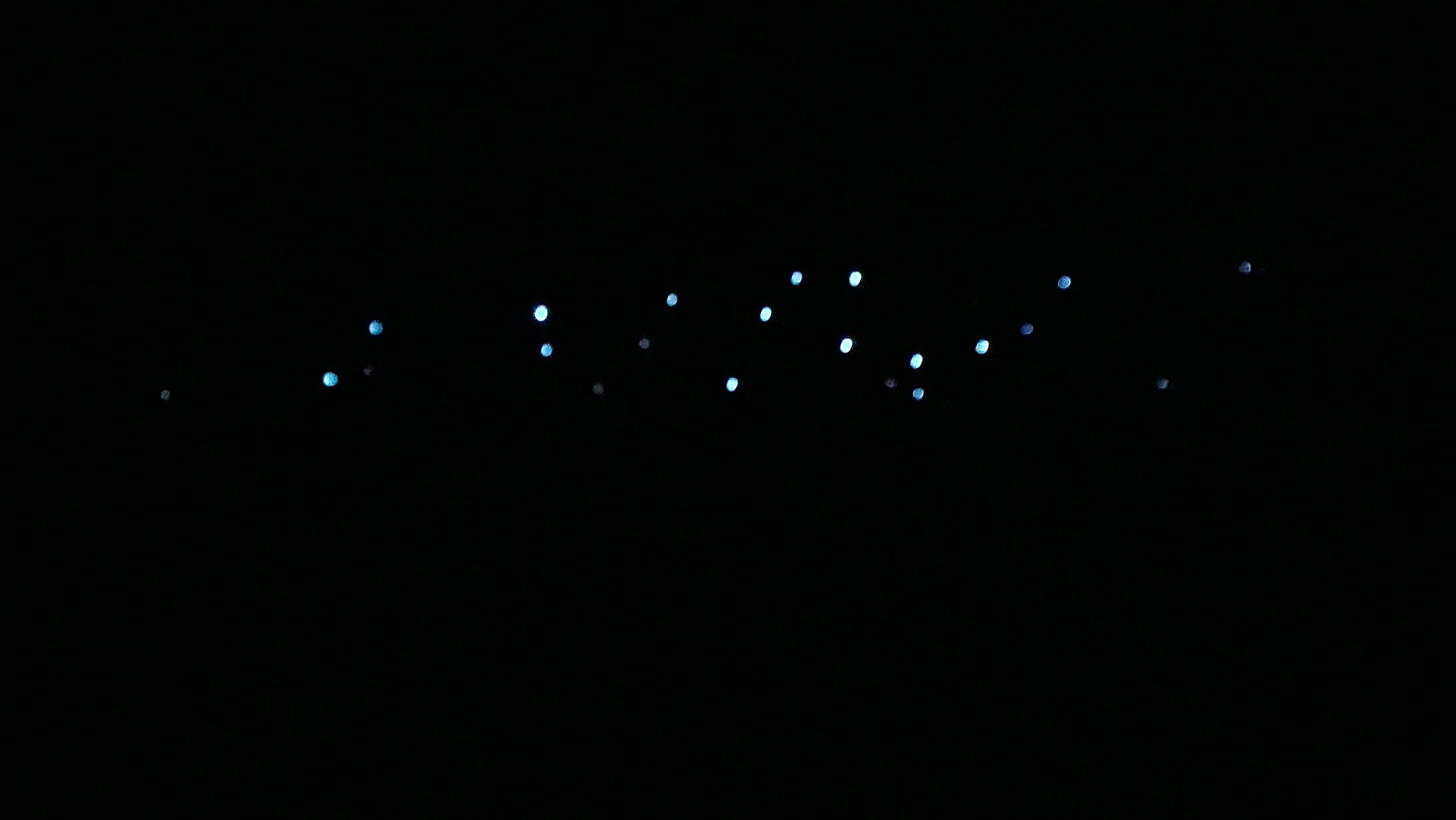 Glowworms near Whites Bay campsite
