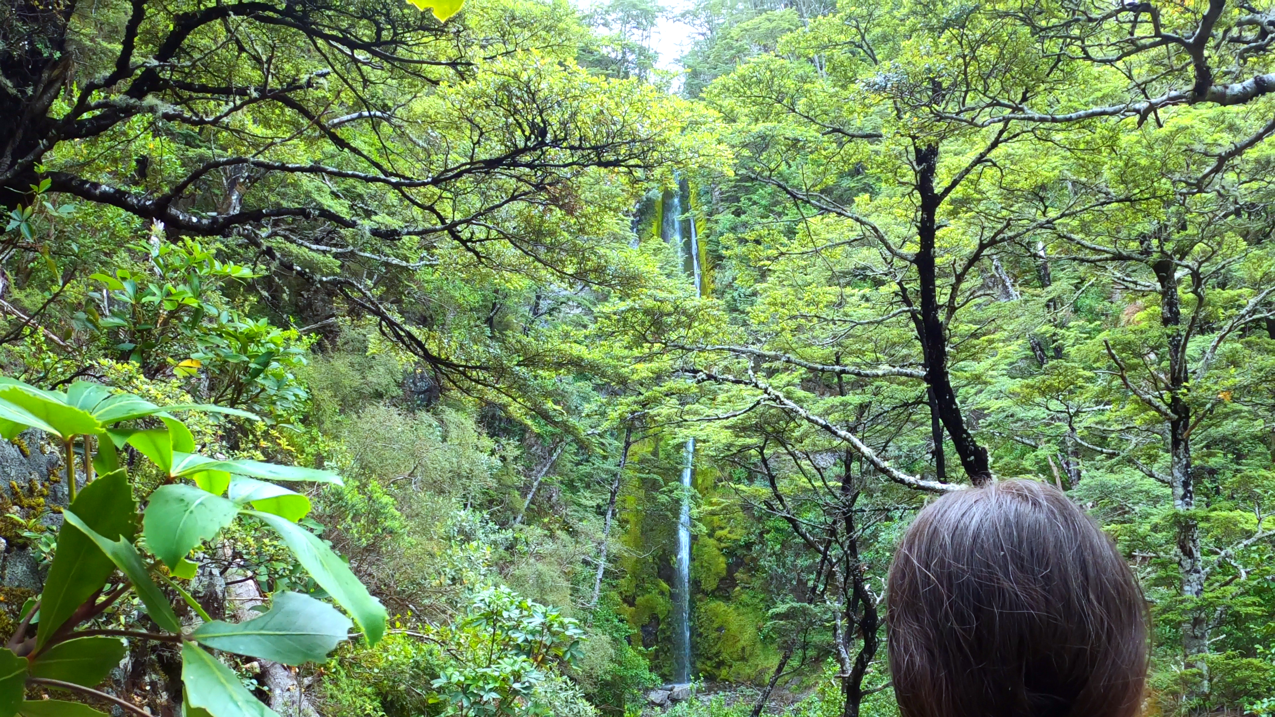 Dog Stream Falls near Hanmer Springs in Canterbury