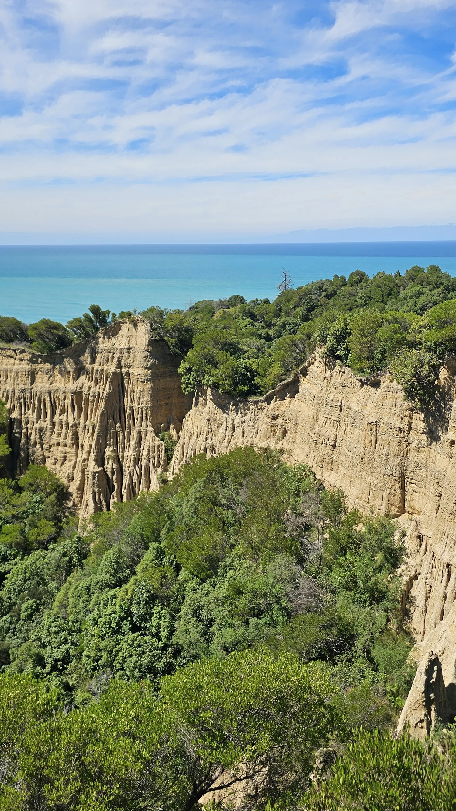 Fluted Cathedral Gully cliffs near Gore Bay