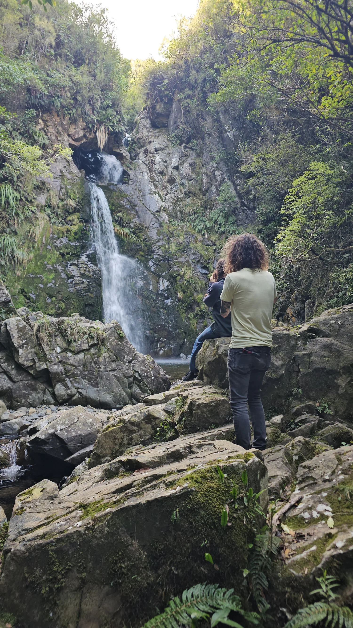 Waterfall area on Mt Nimrod Track