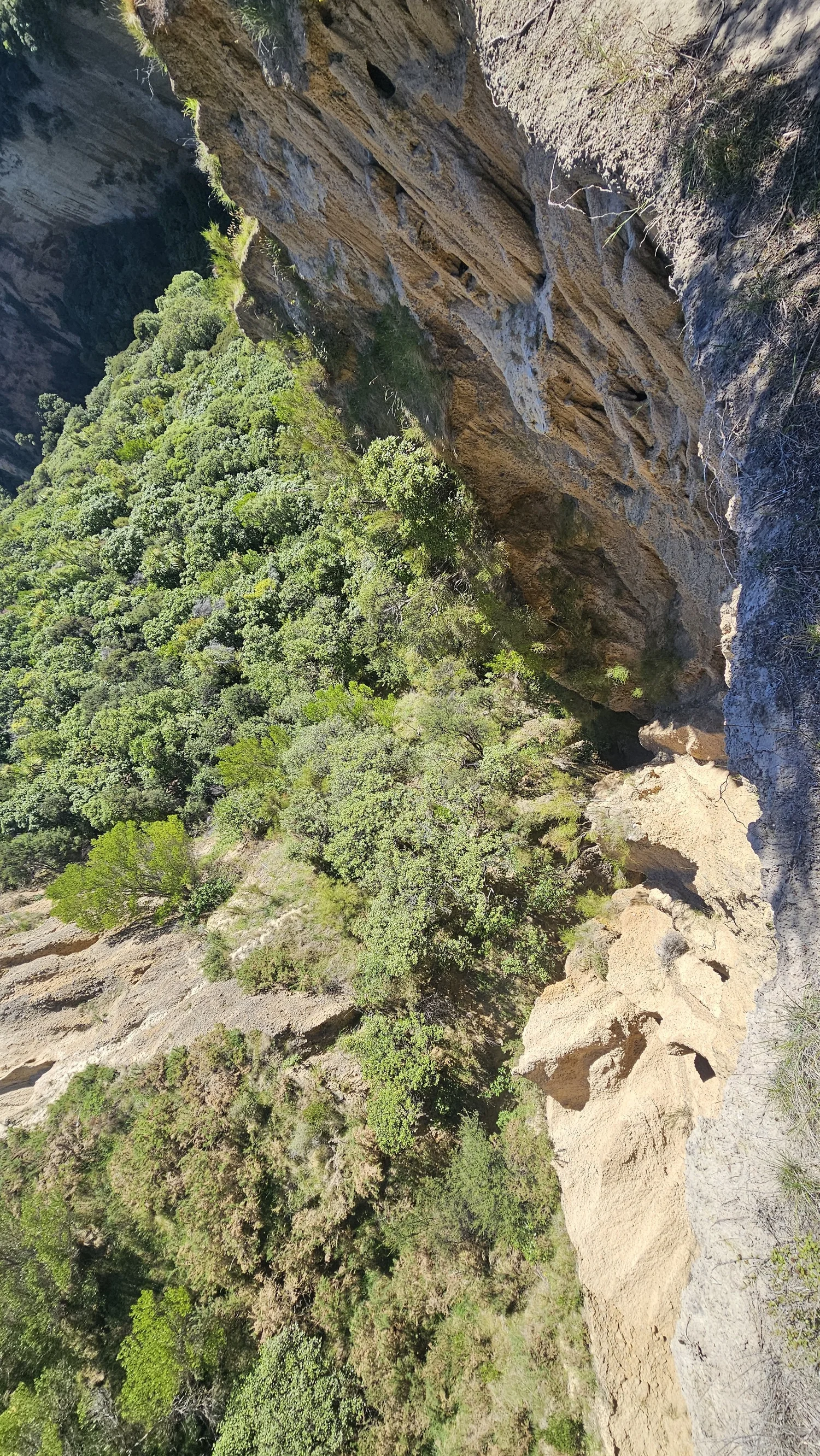 Looking down the steep drop beside Cathedral Gully