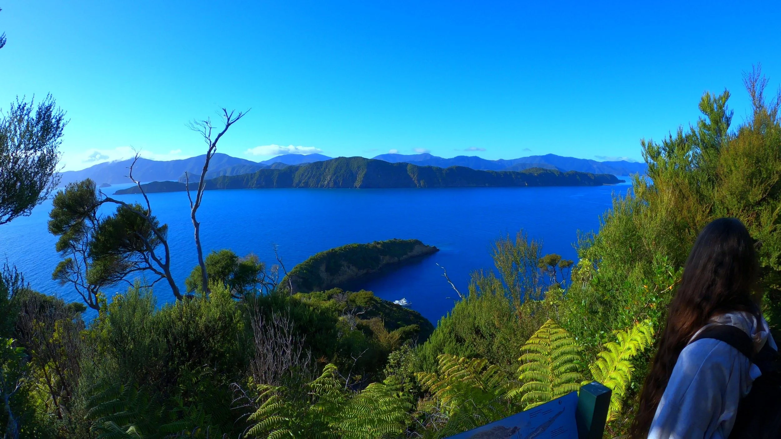 View over Queen Charlotte Sound from Motuara Island
