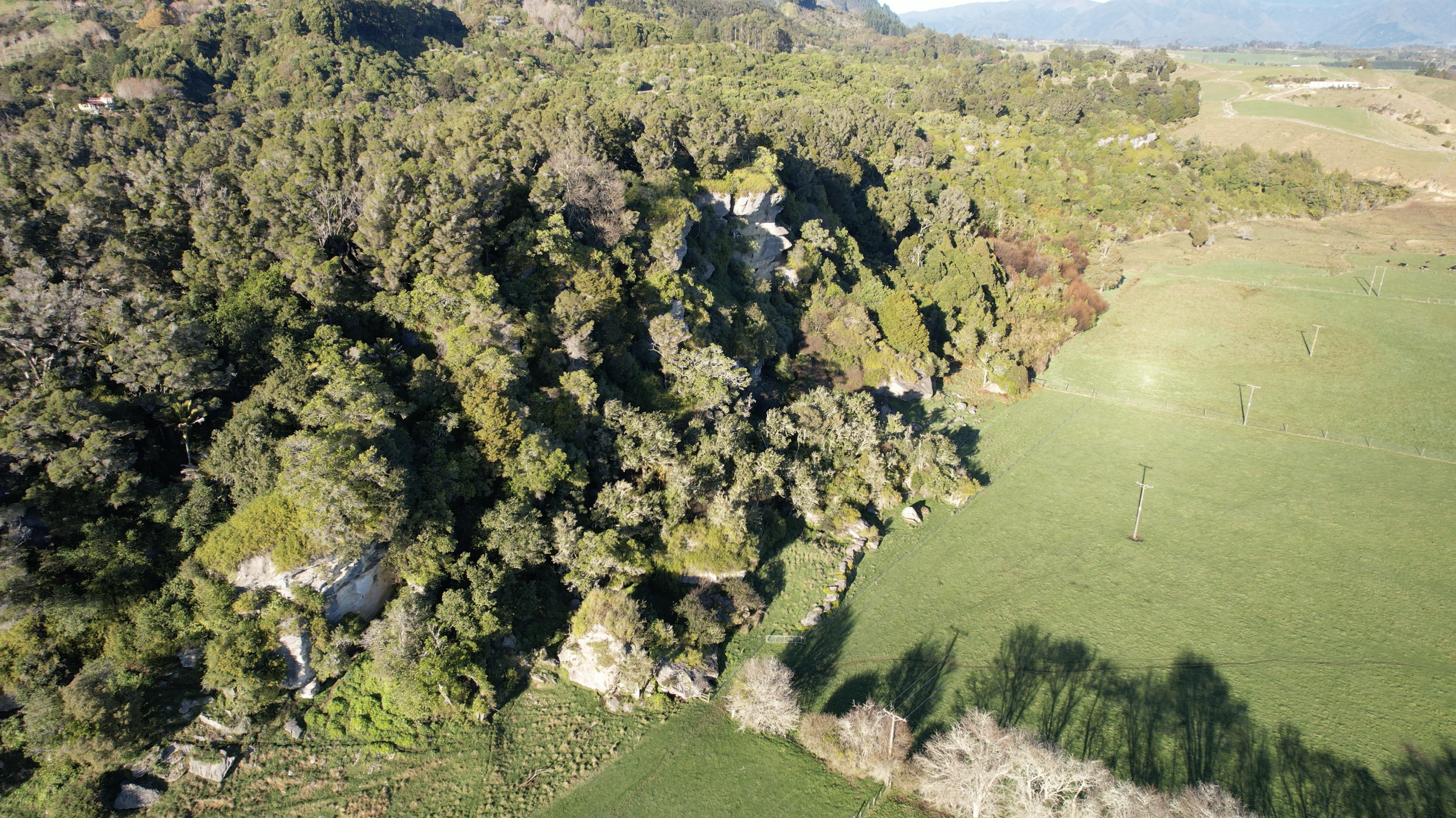 Aerial view of The Grove Scenic Reserve surrounded by farmland in Golden Bay