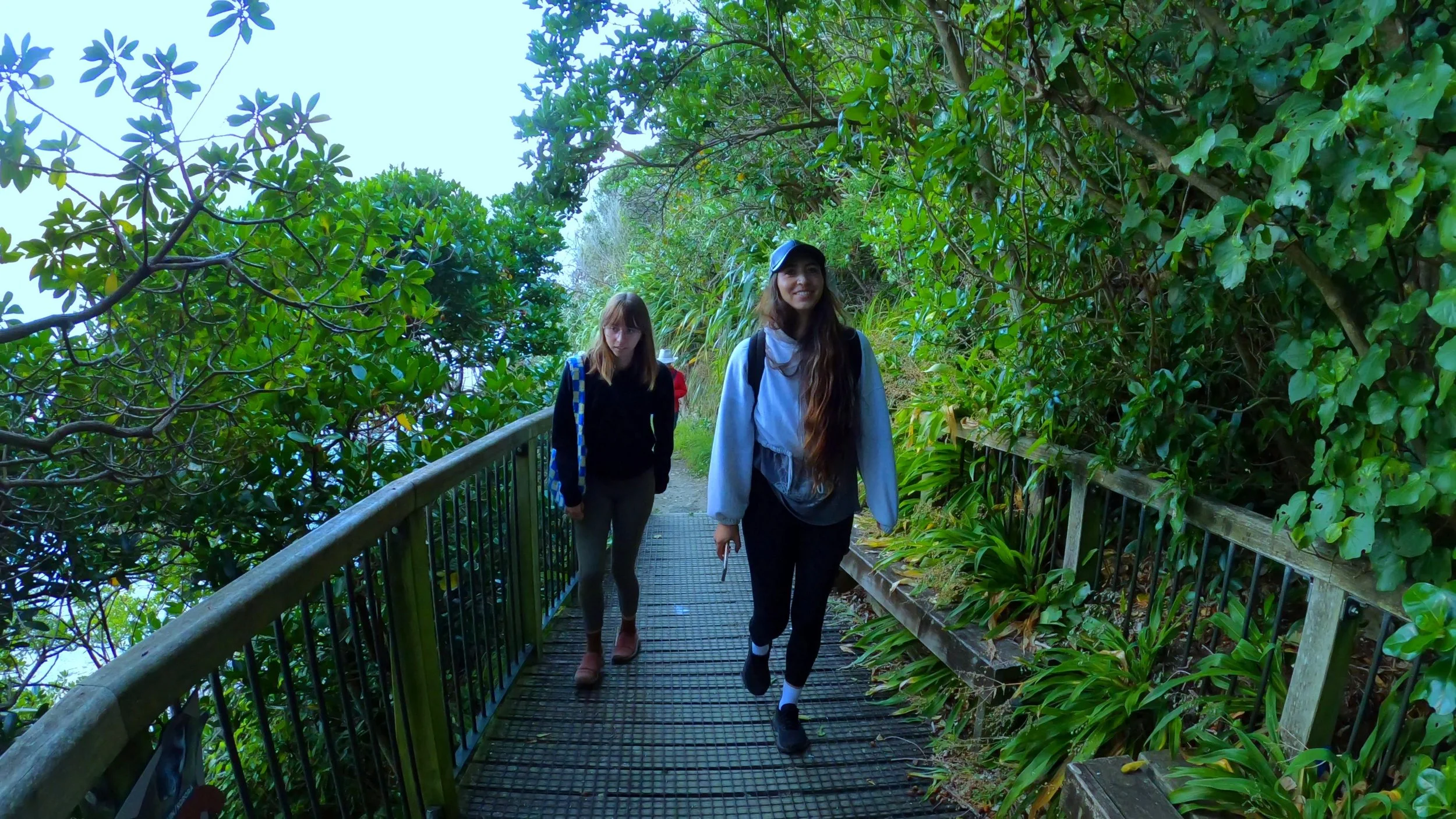 Walking through native vegetation on Motuara Island