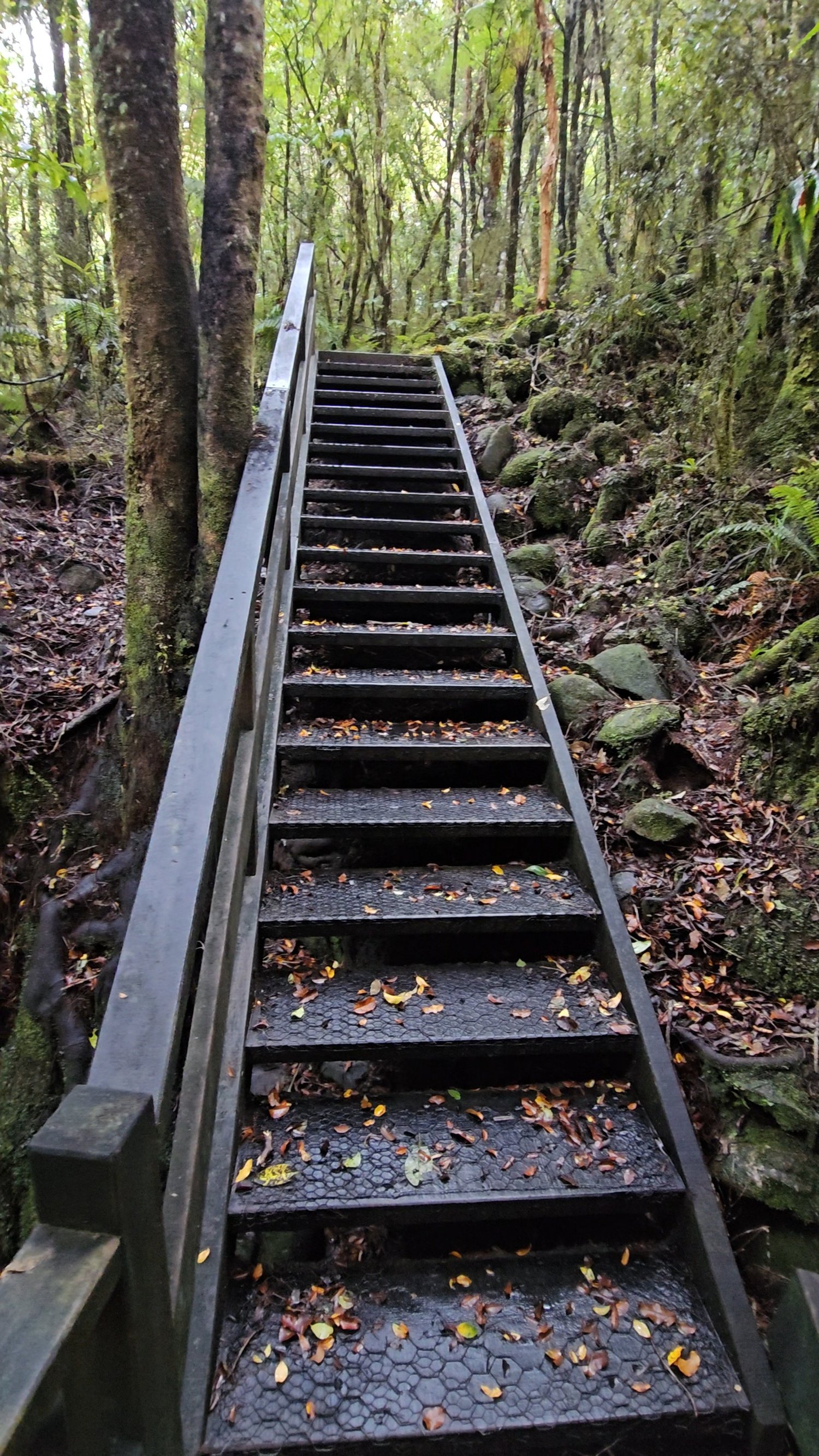 Historic mining remains beside Tunnel Terrace Walk