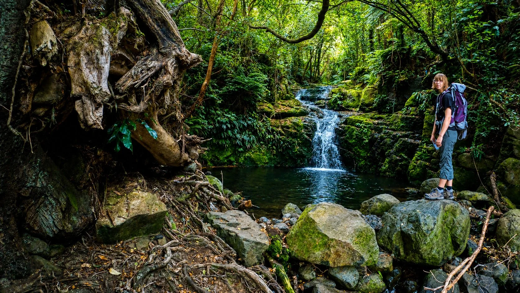Waterfall along the Hinewai Reserve tracks