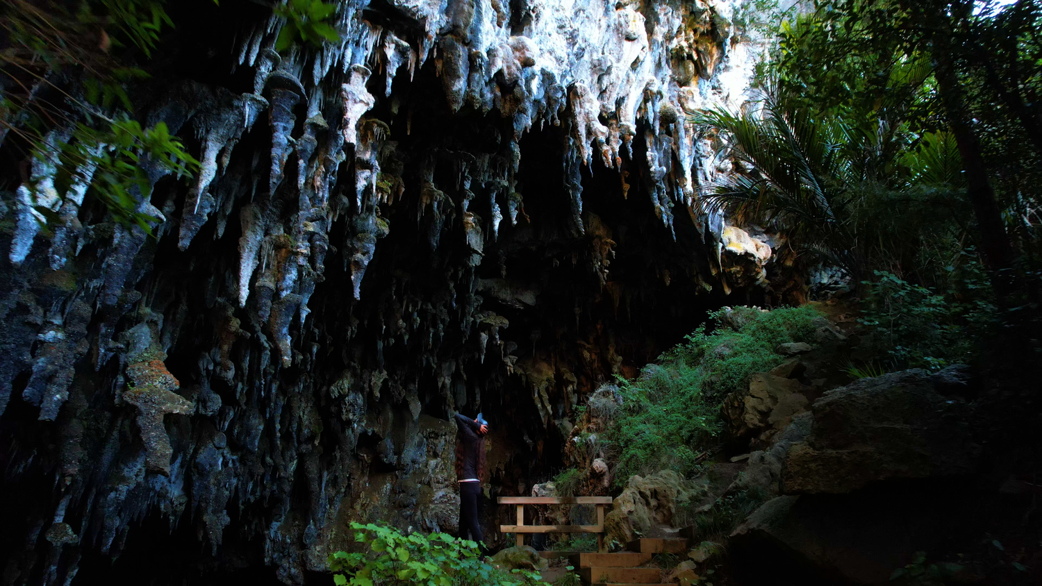 Viewing area beneath the large Rawhiti Cave entrance