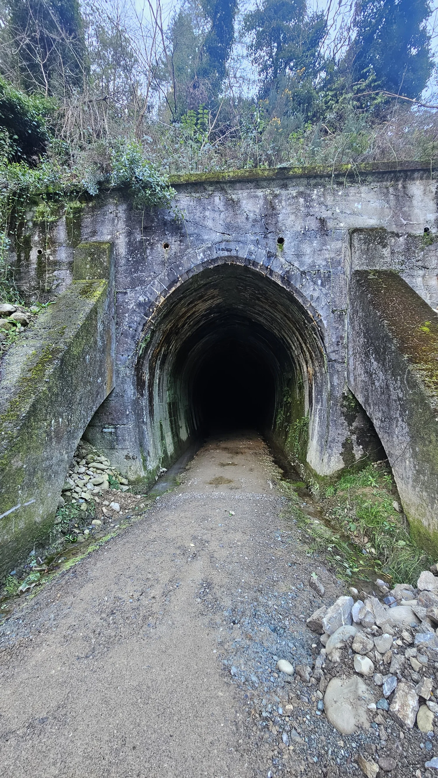 At Spooners Tunnel on Tasman's Great Taste Trail