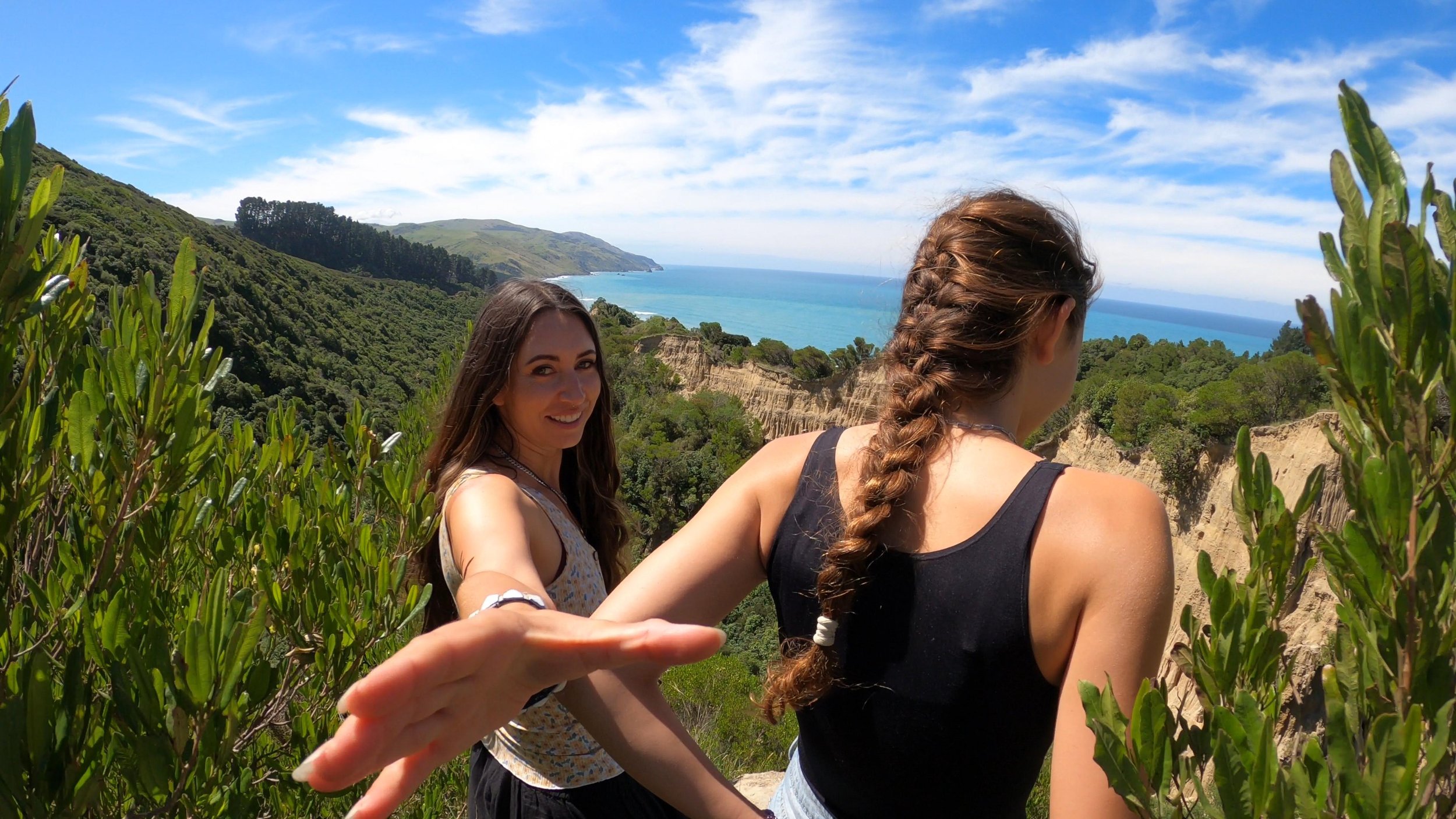 Looking across the Cathedral Gully formations and coast
