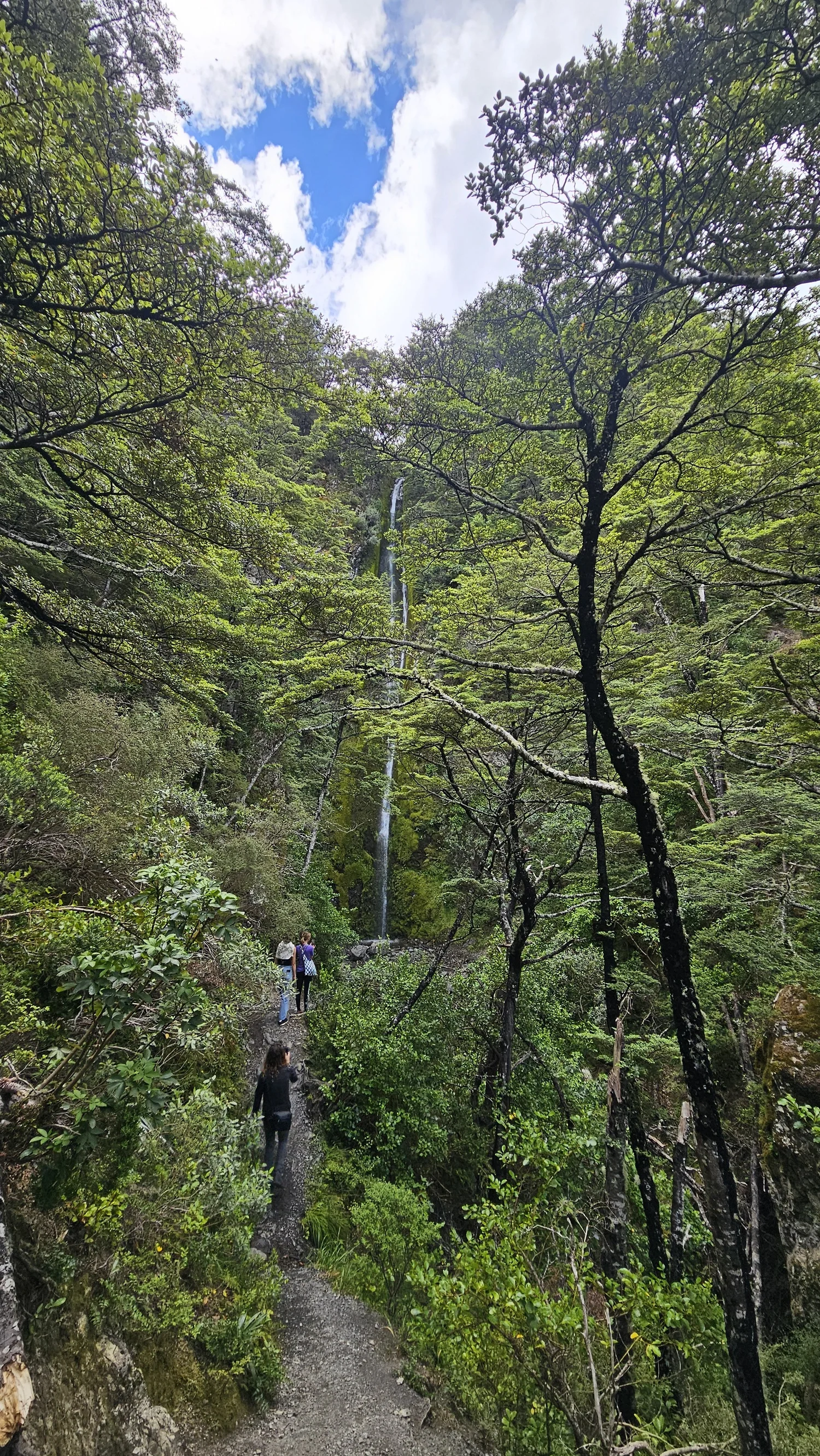 Arriving at Dog Stream Falls after the climb