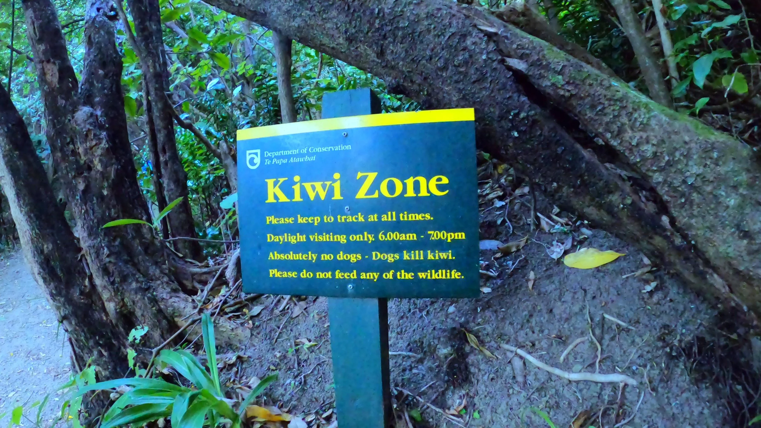 Conservation signage on Motuara Island