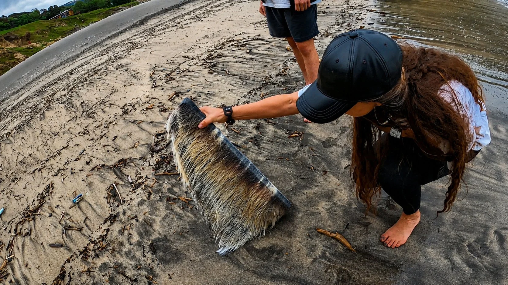 Holding and examining whale baleen on the beach
