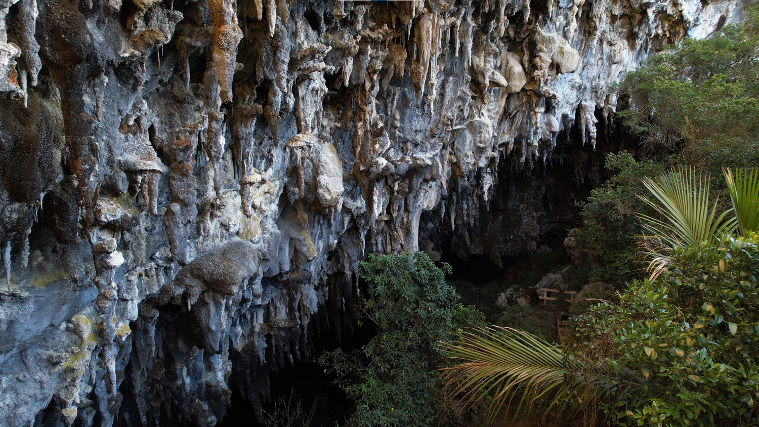 Detailed limestone features around the entrance to Rawhiti Cave