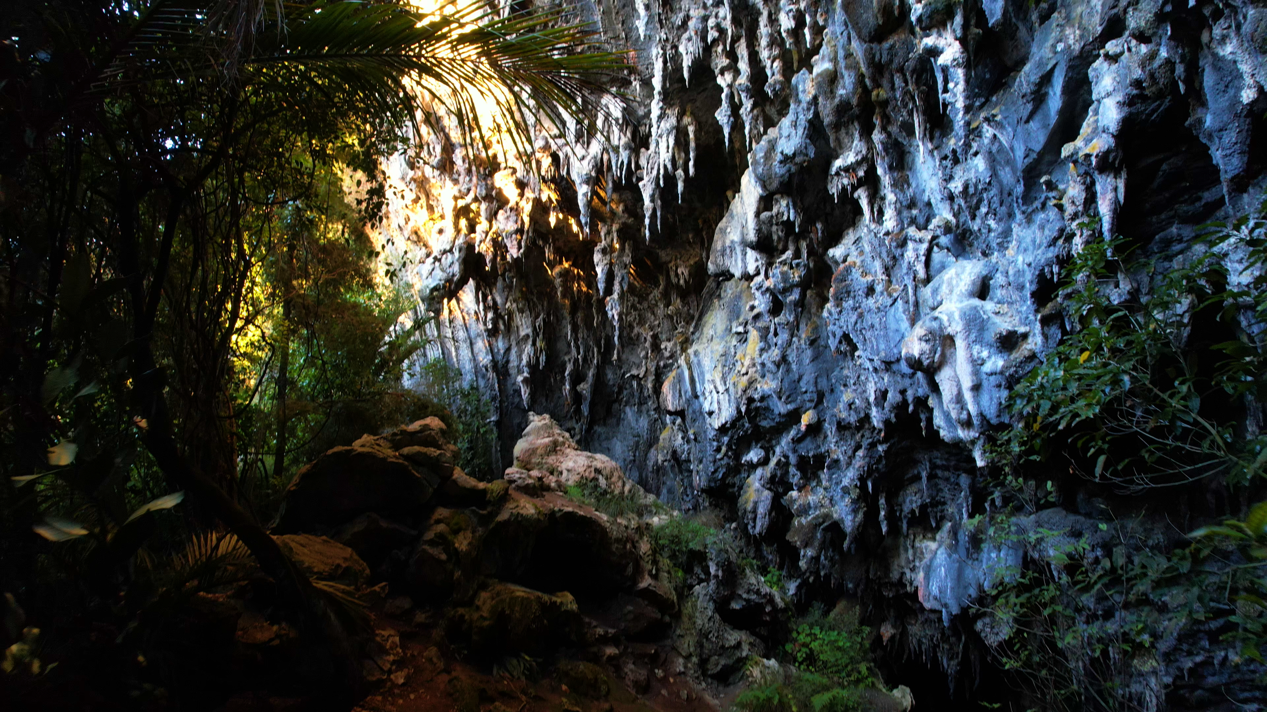 Dark interior areas of Rawhiti Cave beyond the daylight at the entrance