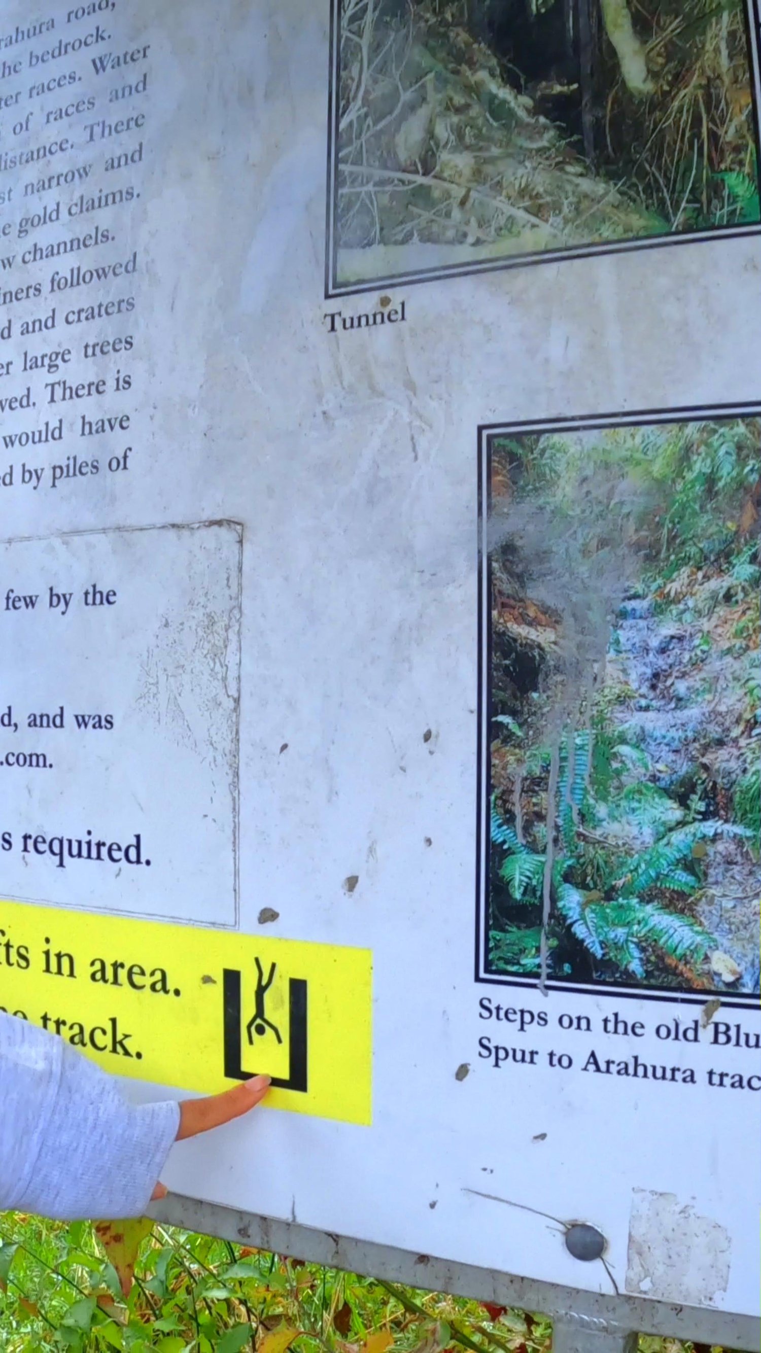 Blue Spur Bushwalk information sign showing mining tunnels and track history