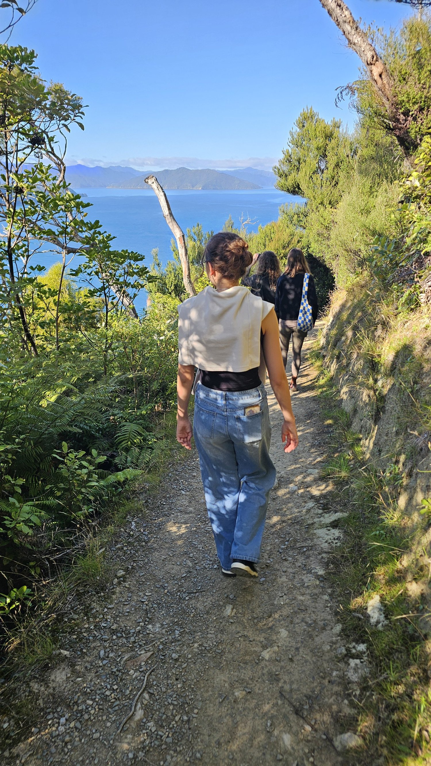 Our family walking the Motuara Island track above the Marlborough Sounds