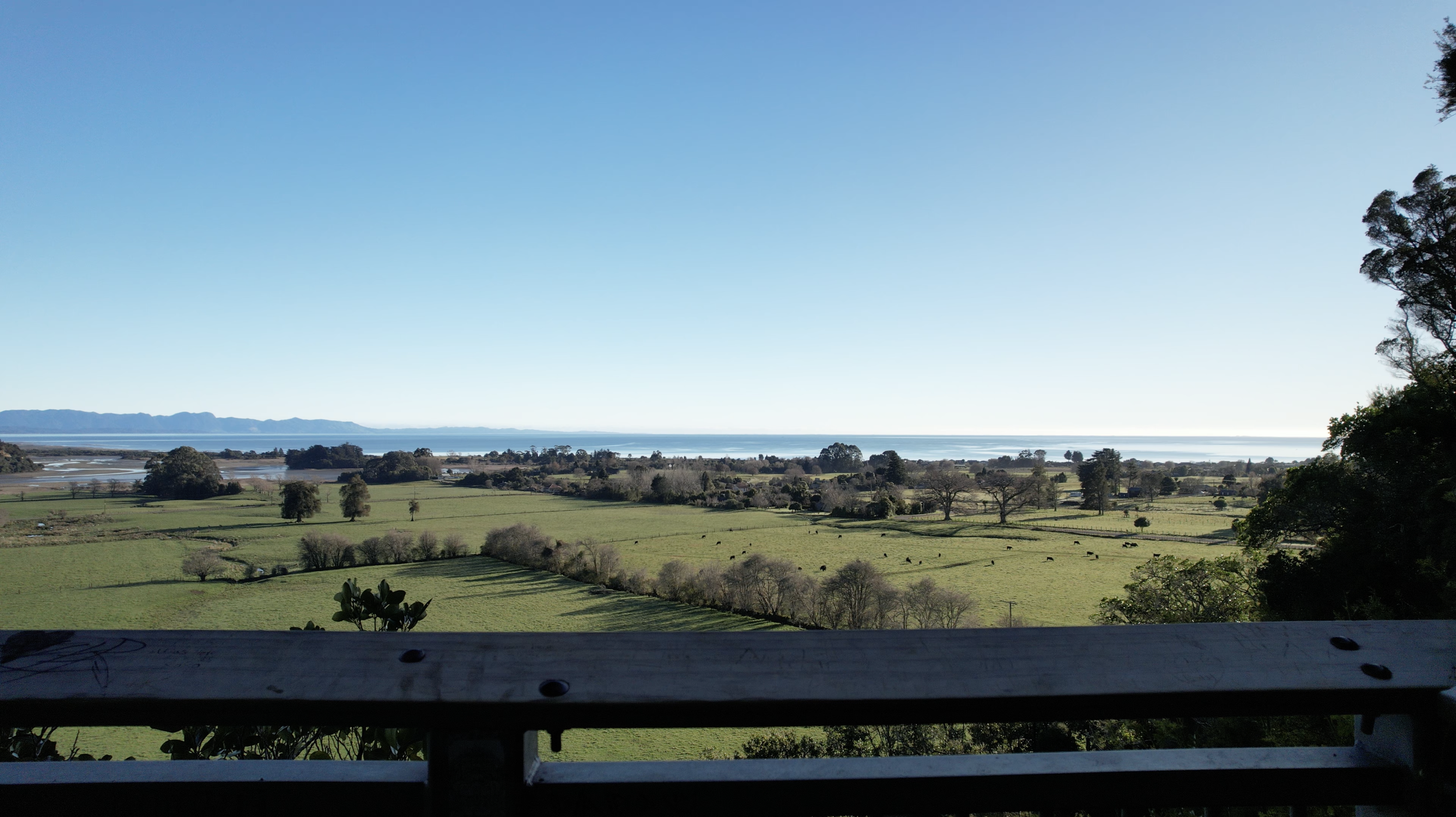 View from The Grove Scenic Reserve lookout across Golden Bay farmland toward the coast