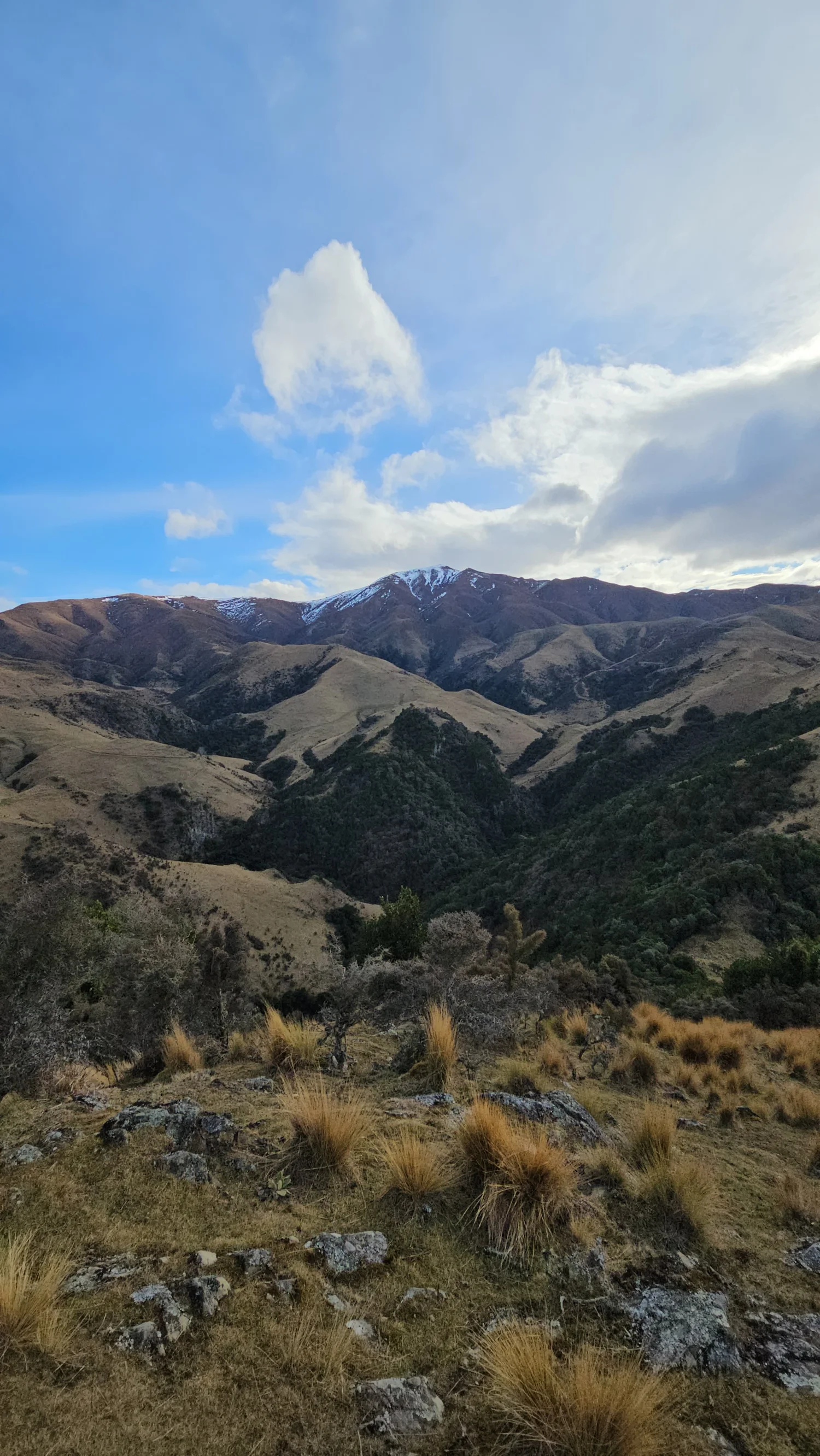 High section of Mt Nimrod Track
