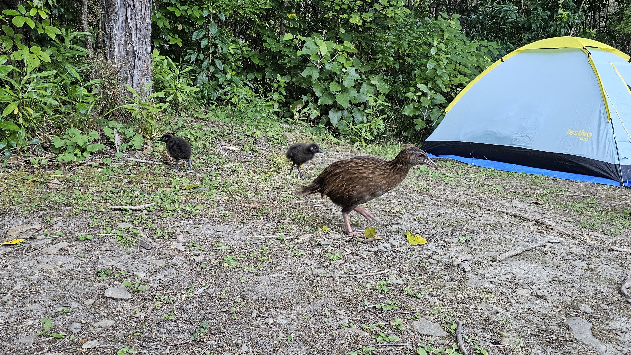 Weka family at Whites Bay