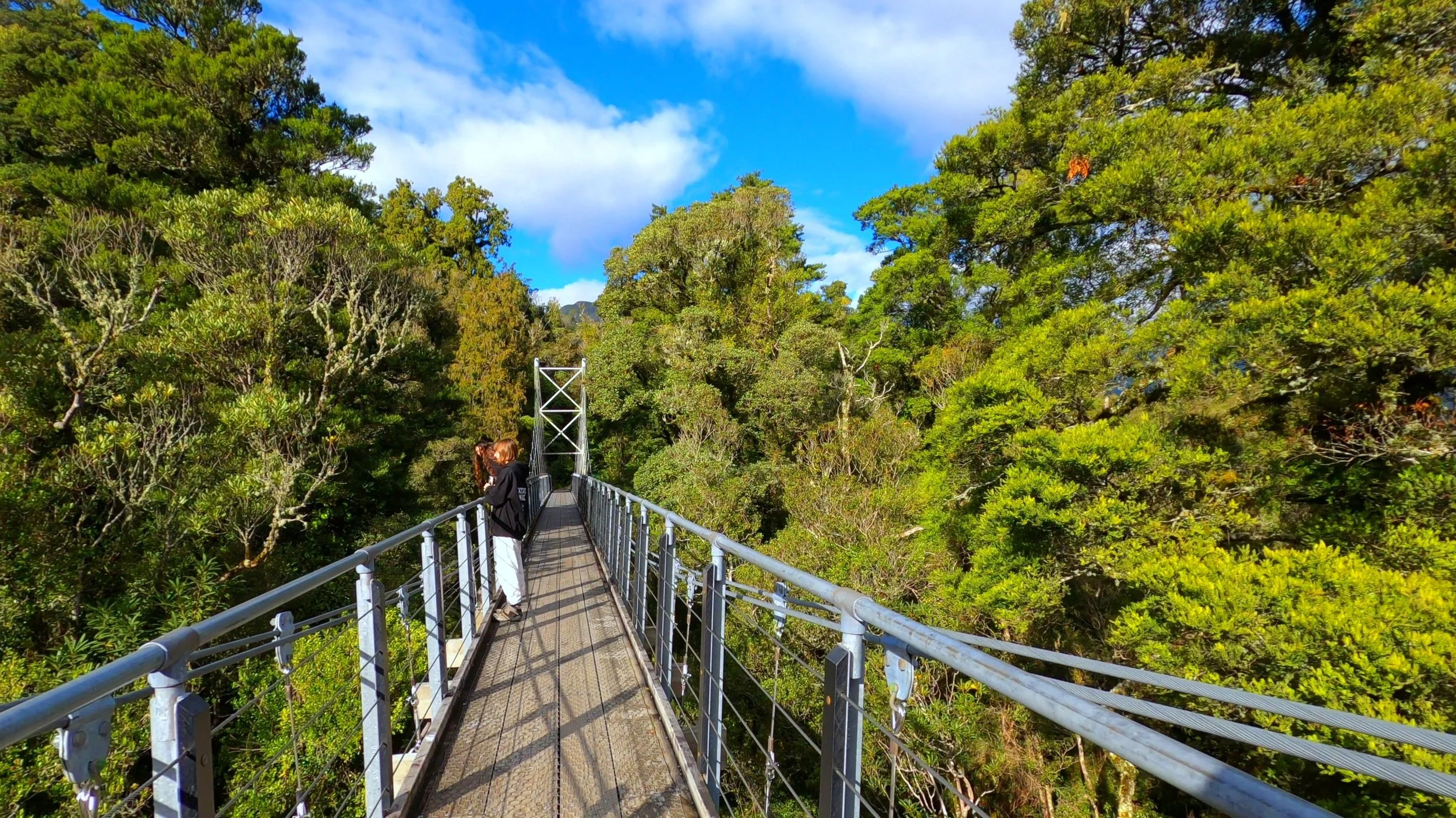 Looking across Hokitika Gorge on the West Coast