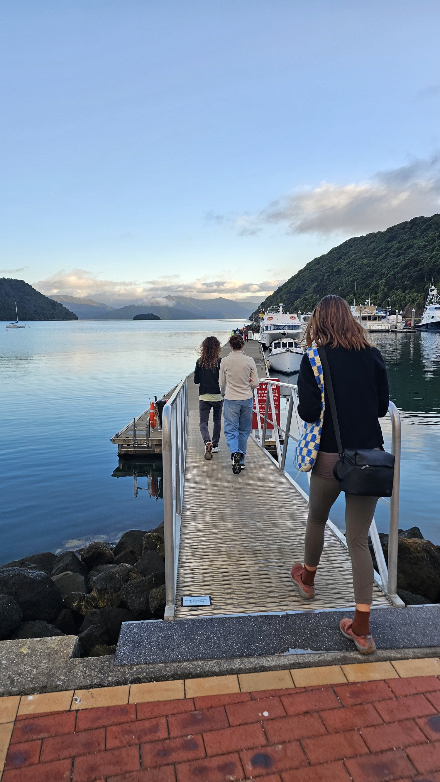 Walking down the Picton marina jetty early in the morning