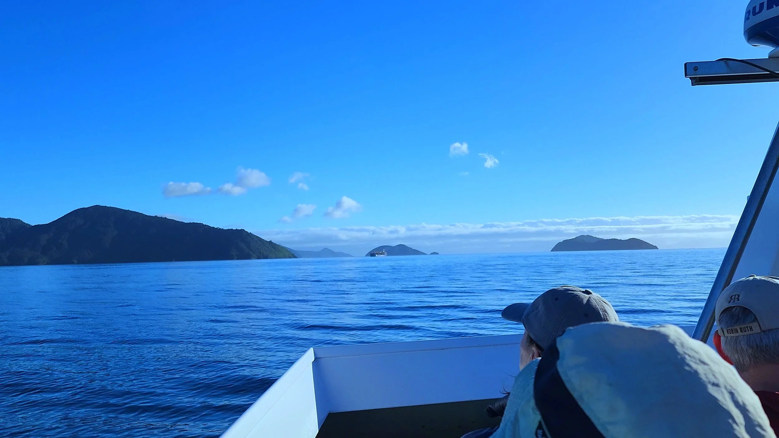 Calm water and forest-covered mountains in the Marlborough Sounds