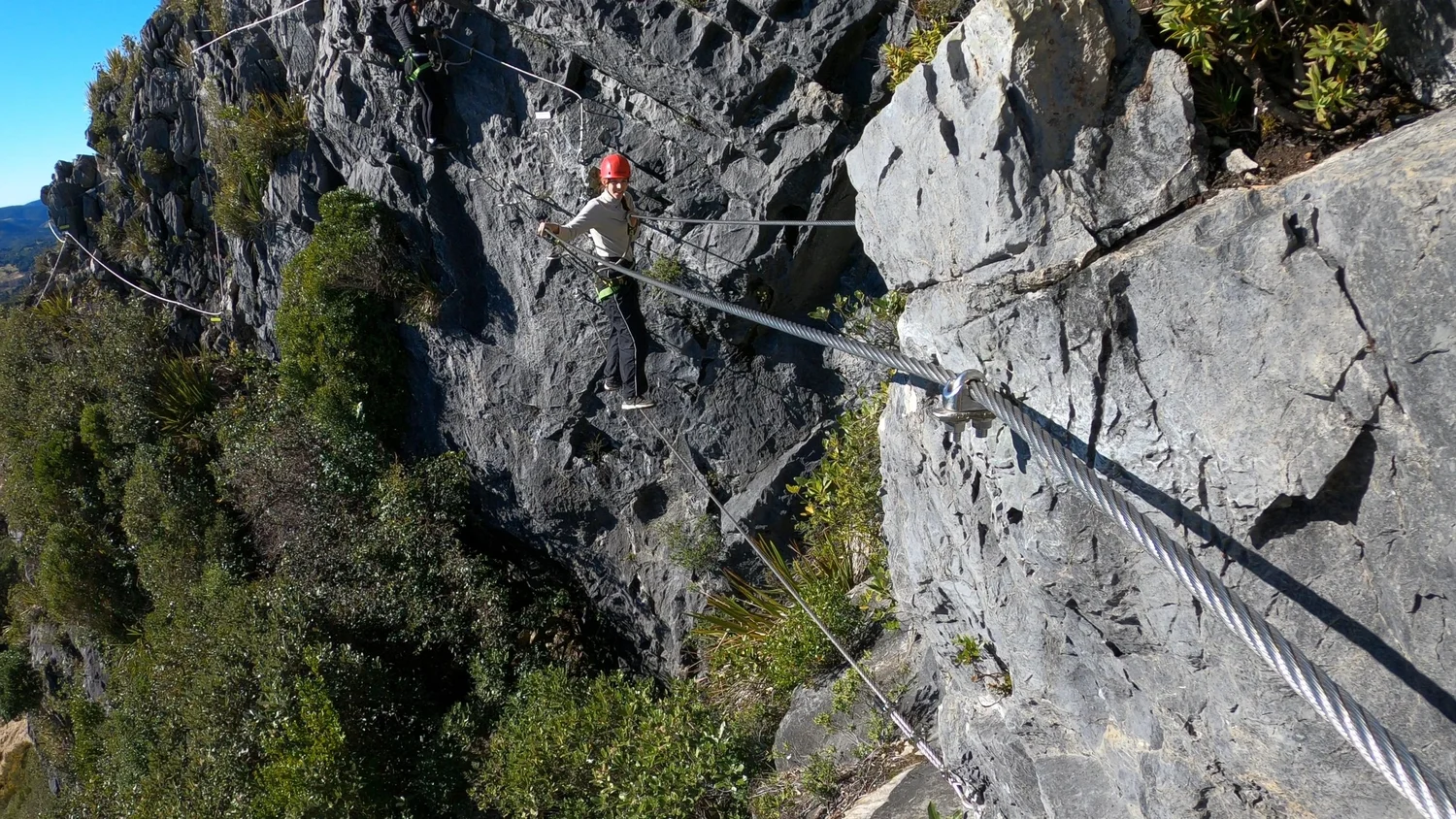 Malaya crossing the three-wire bridge on the Tākaka Hill Via Ferrata