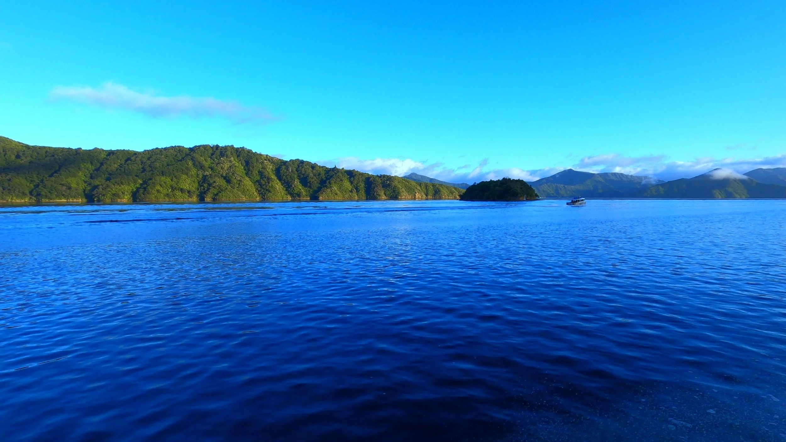 Open water in the Marlborough Sounds where we watched for marine wildlife