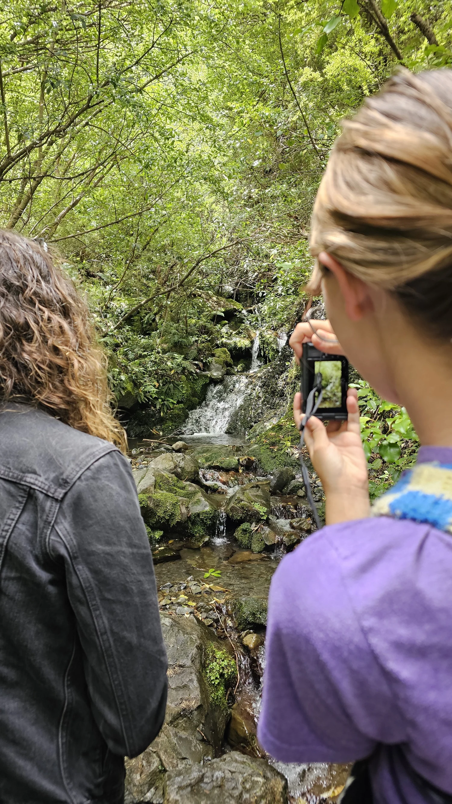 Stopping to photograph a smaller waterfall along the trail