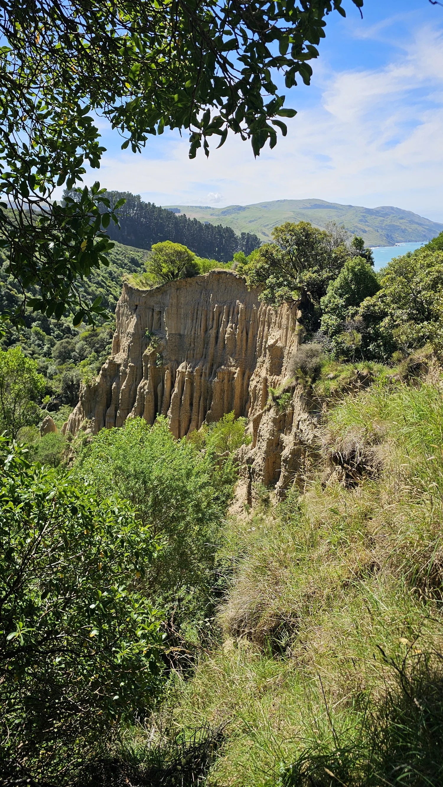 Cathedral Gully cliffs above the North Canterbury coast