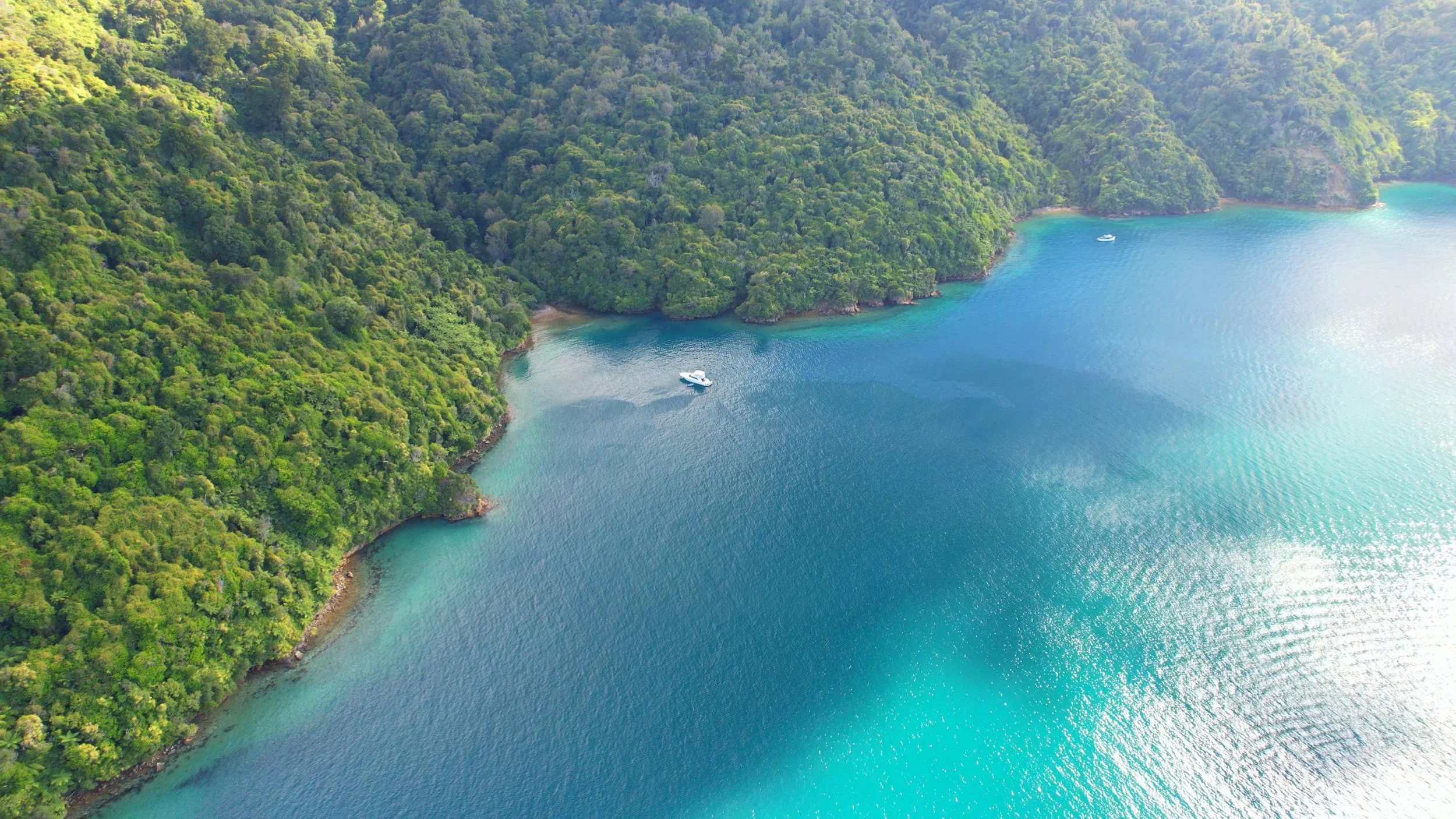 Boat cruising through the Marlborough Sounds beside forest-covered hills