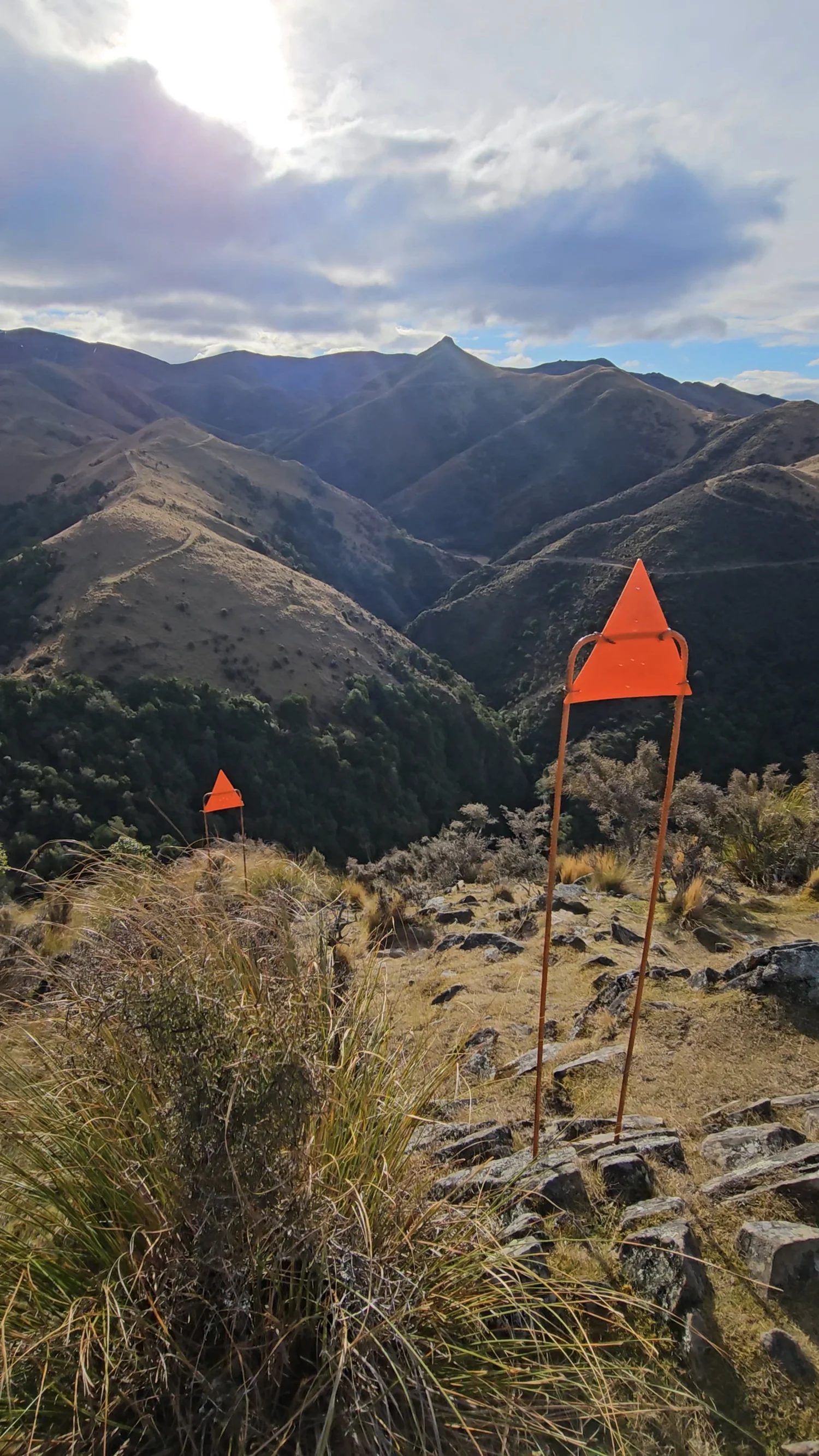 Climbing the steep upper section of Mt Nimrod Track