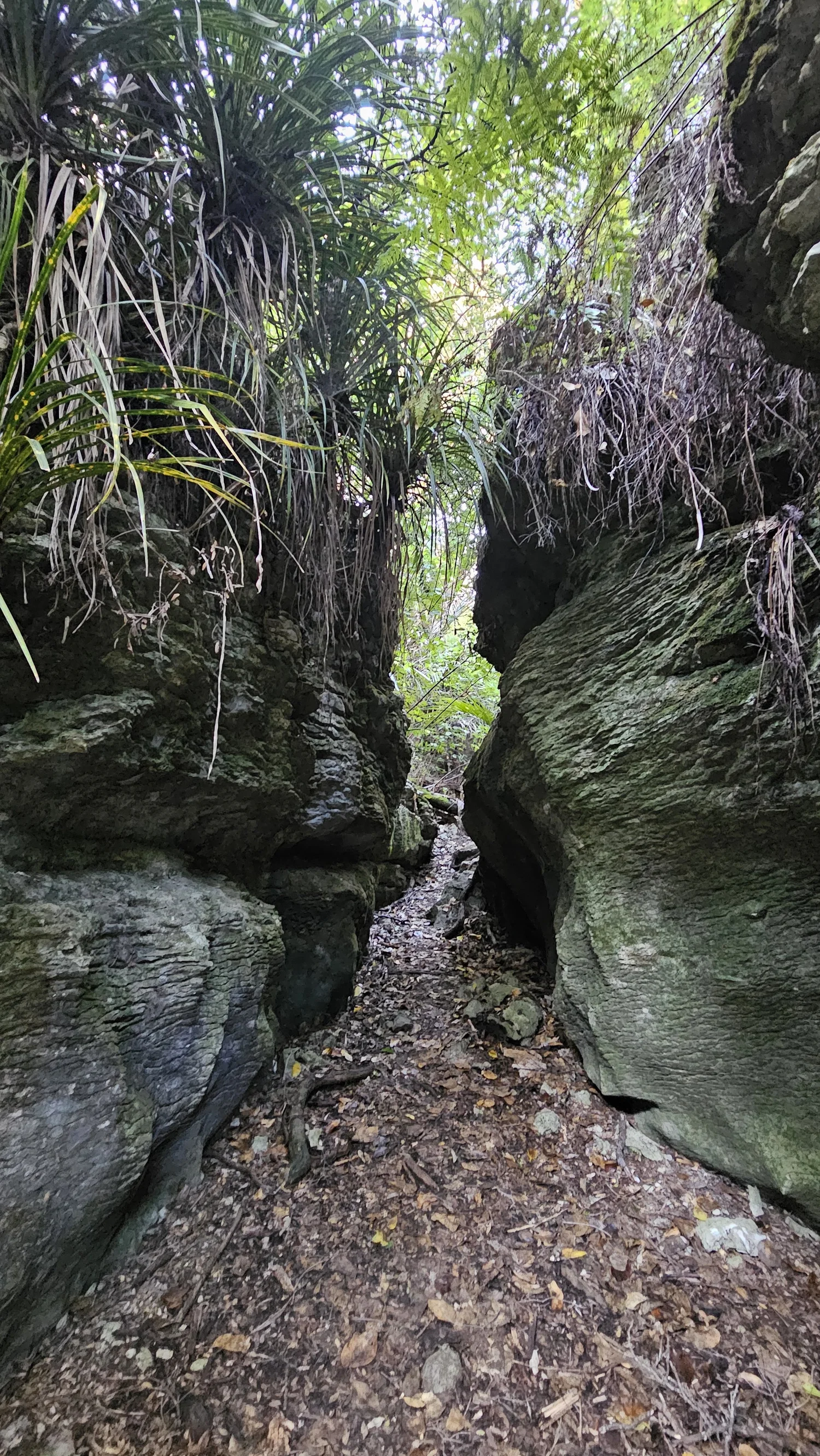 Tight rock passage within The Grove Scenic Reserve