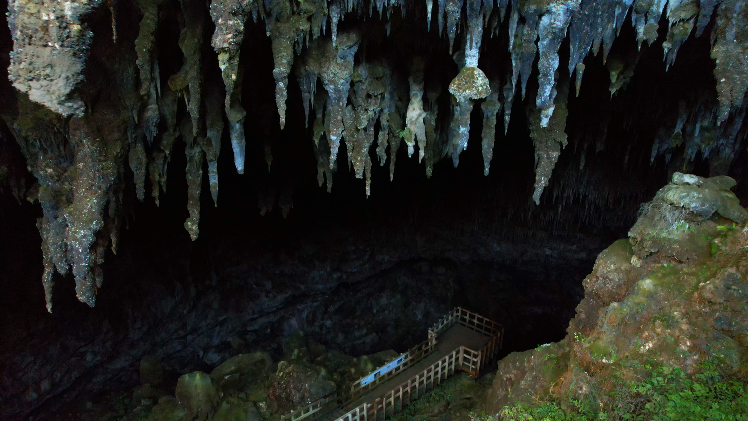 Stairs and viewing area beneath limestone formations at Rawhiti Cave
