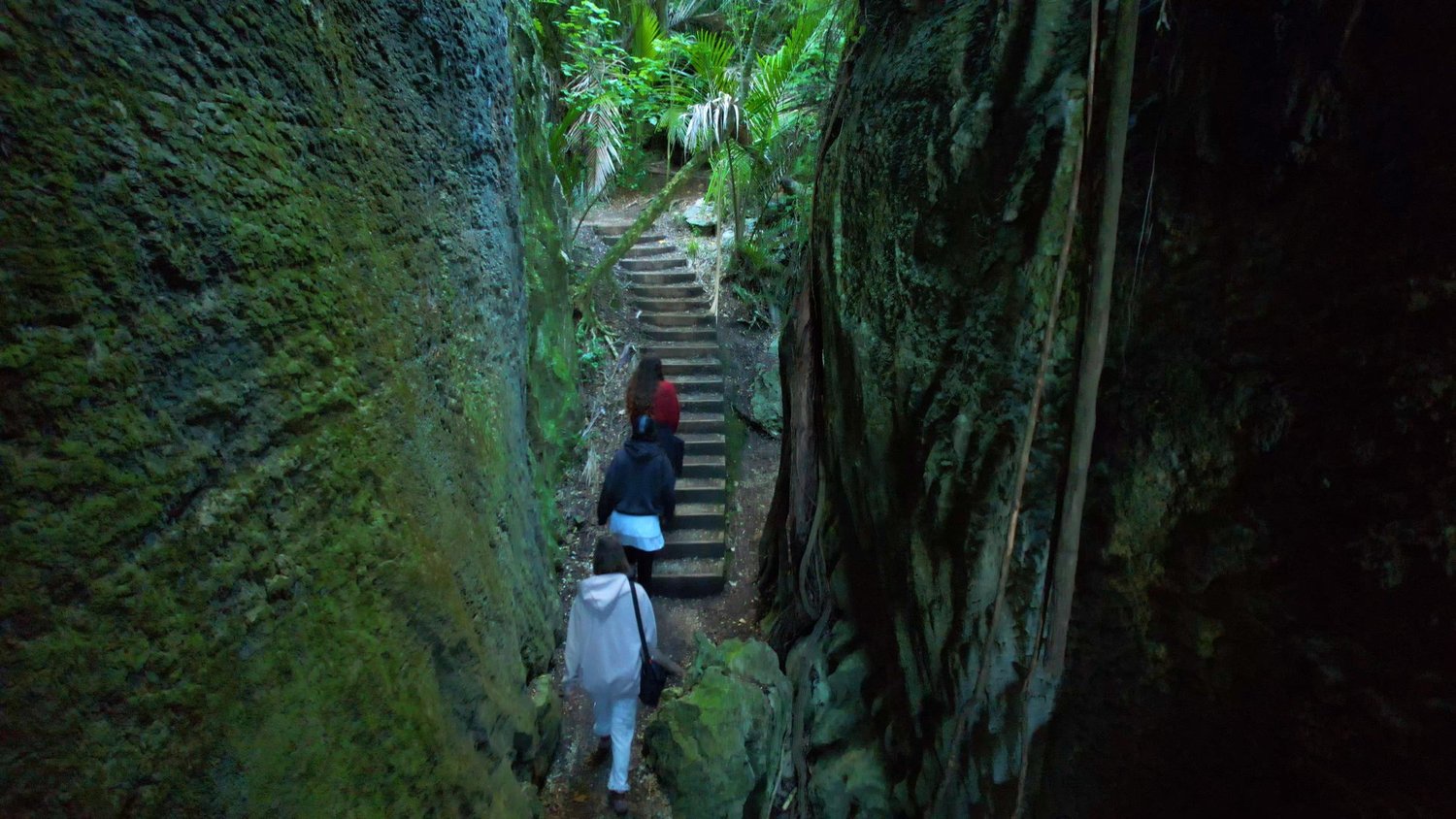 Stairs climbing between limestone walls toward The Grove lookout