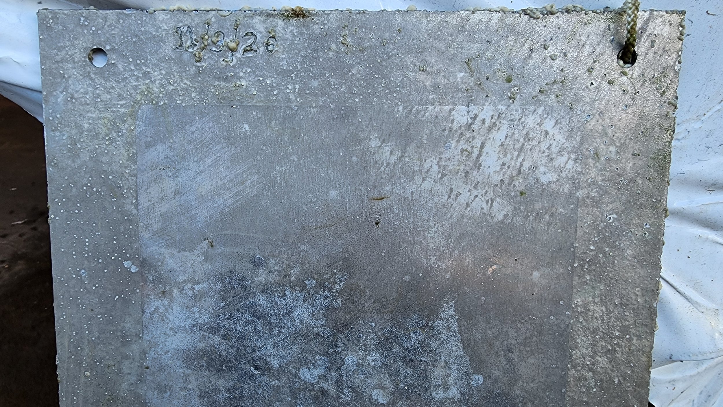 SLYPTEK marine release test sample with a treated centre and untreated outer perimeter