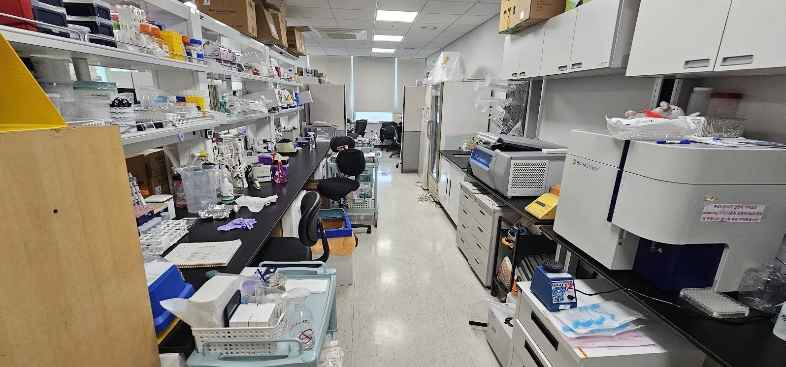 May 9, 2024 — The lab is taking shape.