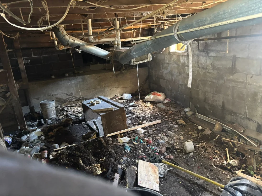 Crawlspace cleanout before