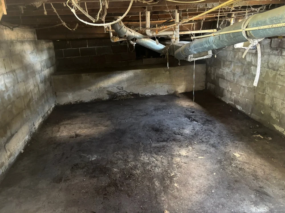 Crawlspace cleanout after