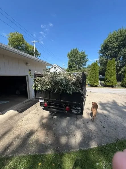 Barnett Demo & Haul outdoor cleanup project
