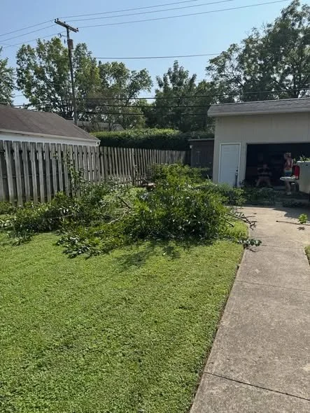 Outdoor cleanup